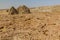 Volcanic landscape of Dallol, Danakil depression, Ethiopi