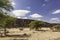 Volcanic landscape in Djibouti