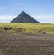 Volcanic landscape with green Storasula mountain, hills and lava gravel ground covered by lush moss. Fjallabak Nature