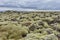 Volcanic landscape, Iceland