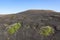 Volcanic landscape at La Geria in Lanzarote