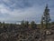 Volcanic landscape with lava fields partly covered by the pine tree forest above clouds with silhoutte of La gomera