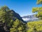 Volcanic landscape and lush pine tree forest, pinus canariensis view from Mirador de la Cumbrecita viewpoint at national