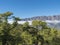 Volcanic landscape and lush pine tree forest, pinus canariensis view from Mirador de la Cumbrecita viewpoint at national