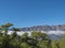 Volcanic landscape and lush pine tree forest, pinus canariensis view from Mirador de la Cumbrecita viewpoint at national