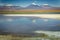 Volcanic landscape and salt lake reflection at sunset in Atacama Desert, Chile