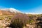 Volcanic landscape, Teide, Tenerife