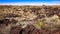 Volcanic Landscape at Valley of Fires Recreation Area in New Mex