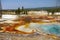 Volcanic Landscape, Yellowstone National Park, Wyoming