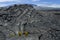 Volcanic lava at Mauna Loa.