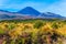 Volcanic massif of Tongariro Park