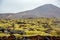 Volcanic moss landscape with volcano in background