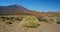 Volcanic nature landscape. Mount Teide volcano and Pico del Teide in Tenerife, Canaries, Spain. Sunny afternoon, local