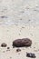 Volcanic Pebbles on a sandy beach with the gentle calm waves lapping behind