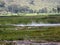 Volcanic pond with hot water, Ethiopia