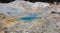 A Volcanic Pond in Lassen National Park in August