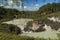 Volcanic pool. New Zealand