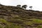 Volcanic rock cliff in Tower Hill Wildlife Reserve in Victoria