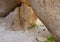 Volcanic rock formations in the desert