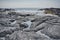 Volcanic Rock Landscape of Kealakekua Bay