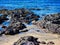 Volcanic Rocks on Pacific Ocean Beach, Australia