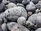 Volcanic rocks rounded by the aleaje of the sea on a beach in Lanzarote, Spain