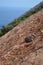 Volcanic rocks, Vulcano Island Sicily Italy