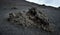 Volcanic slag, grey coloured lava on the volcanic bedrock of Mount Etna volcano