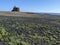 Volcanic soil and tower of eagle in Playa Blanca