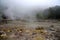 Volcanic steam of sulfur at the caldeiras of Furnas