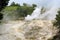 Volcanic steam of sulfur at the caldeiras of Furnas