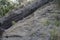 Volcanic strata at Taal volcano in the Philippines