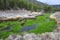 Volcanic thermal hot springs contrasts snow, yellowstone nat park