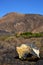 volcanic timanfaya rock stone sky h