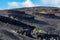 Volcanic vineyards on Lanzarote walled with black lava stones, wine making on Canary islands, Spain