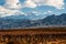 Volcano Aconcagua and Vineyard, Argentine