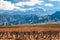 Volcano Aconcagua and Vineyard, Argentine province of Mendoza