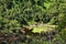 Volcano crater in Mauritius island, Trou aux Cerfs