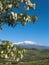 The volcano Etna landscape