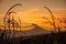 Volcano through a frame of corn ears