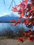 Volcano Fuji. Japan. Lake. Momiji. Autumn leeves