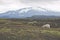 Volcano Hekla and iceland sheeps