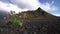 Volcano and landscape with blurred flowers foreground. Iceland. South area. Fjallabak.