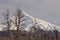 Volcano Lanin, Patagonia, Neuquen