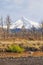 Volcano Lanin, Patagonia, Neuquen