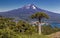 Volcano Llaima - Chile