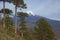 Volcano Llaima in Conguillio National Park, Chile