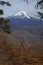 Volcano Llaima in Conguillio National Park, Chile