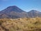 Volcano lonquimay in las araucarias park in chile