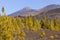 Volcano panorama with pine forest, rock formations